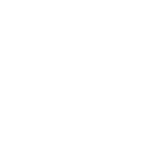 MEDAL_~1